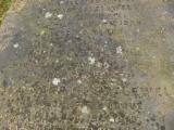 image of grave number 33355